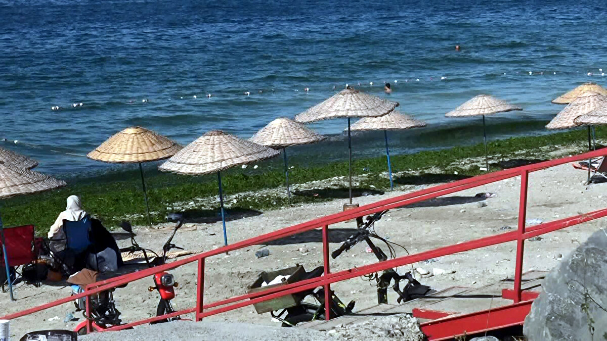  Ali Göktürkler ise, "Yosun doğal bir olay. Yeşili severim. Yeşile bakınca moralimiz yükselir. İnsanlar tedirgin oluyor. Belediye temizliyor  genelde. Bazı Asya ülkelerinde tıbbi ilaçlar yapılıyor" dedi. 