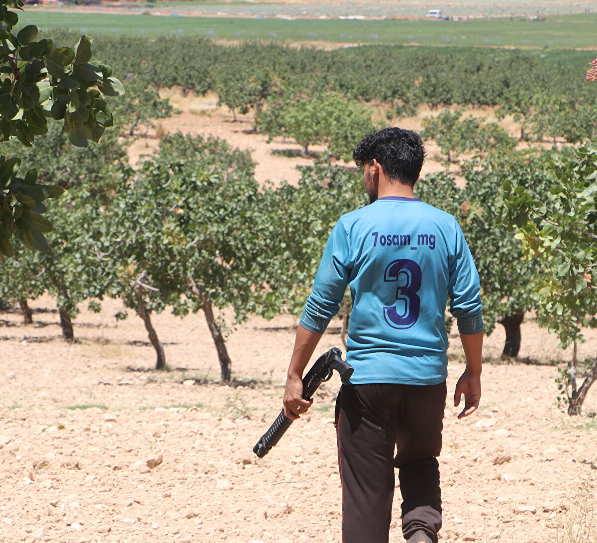 Ziraat Mühendisleri Odası Gaziantep Şube Başkanı Abdulkadir Deniz, geçmişte fıstık bekçiliği diye bir mesleğin olmadığını söyledi.