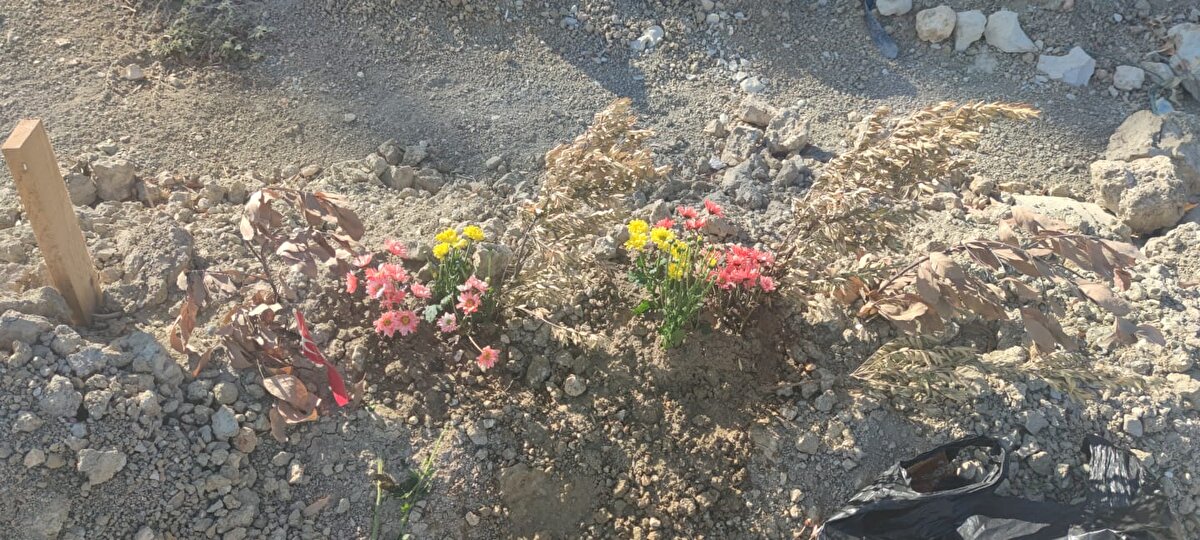 Enkaz altında kalan kızı ve torununu bulmak için arama kurtarma çalışmalarını takip eden Beşerikli ailesi, çalışmalardan herhangi bir sonuç alamadı. Sahiplerine ulaşılamayan cenazeler DNA örnekleri alınıp çeşitli mezarlıklara defnedilirken, depremden 1 hafta sonra Mehmet Beşerikli, 2 hafta sonra ise eşi Nilay Bulgurcu Beşerikli Adli Tıp Kurumu'na gidip DNA testi verdi.<br>