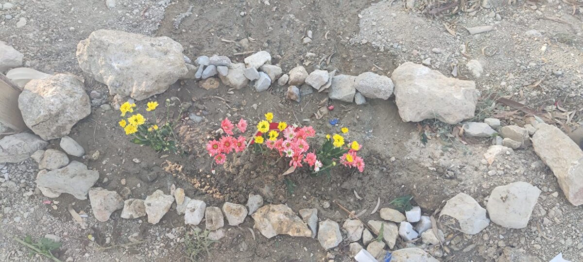 'HABERİ ALINCA DONDUK KALDIK'<br><br>Kızı ve torununun mezarlarının bulunduğu an buruk bir sevinç yaşadığını belirten Mehmet Beşerikli, "Biz ilk hafta başvurumuzu yaptık. Çıkan cenazeleri de takip ediyorduk fakat ilk günlerde arama kurtarma ekipleri bize çıkan cenazeleri göstermediler. Hangi hastaneye gideceğimizi bilmiyoruz. Arkalarından gitsek, çıkan cenazeleri göremeyeceğiz. Onların takibini yapamayacağız. Ortam karışıktı. Her şey birbirine girdi. Biz de başvurumuzu yaptık. İlk hafta ben, ikinci hafta eşim DNA örneğini verdi. Aradan 6 ay geçti. Bizi 6 ay sonra cumhuriyet savcısı aradı. Kalbim yerinden fırlayacaktı, çok heyecanlıydım. DNA eşleşmesinin gerçekleştiğini, cenazelerin bulunduğunu söyledi. O an için dünyanın en mutlu insanıydım. Hem buruk sevinç hem üzüntü var. Hepsini bir arada yaşıyorum. Eşim de yanımdaydı, o da hareketsiz kaldı. Donduk kaldık. Birkaç gün sonra Adli Tıp Kurumu'ndan yüzde 99,9 kesinleşmiş sonuçları geldi. Bizim için gözümüz aydın diyorum. Darısı diğer depremzede kardeşlerimizin başına. Onlara inşallah umut oluruz. İnşallah onların da beklentileri sona erer" ifadelerini kullandı.