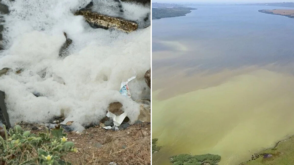 İstanbul Üniversitesi Su Bilimleri Fakültesi İçsu Kaynakları ve Yönetimi Anabilim Dalı Başkanı Prof. Dr. Meriç Albay’ın başında olduğu ekip, Küçükçekmece Gölü’nü izleme projesi yürütüyor.<br><br>