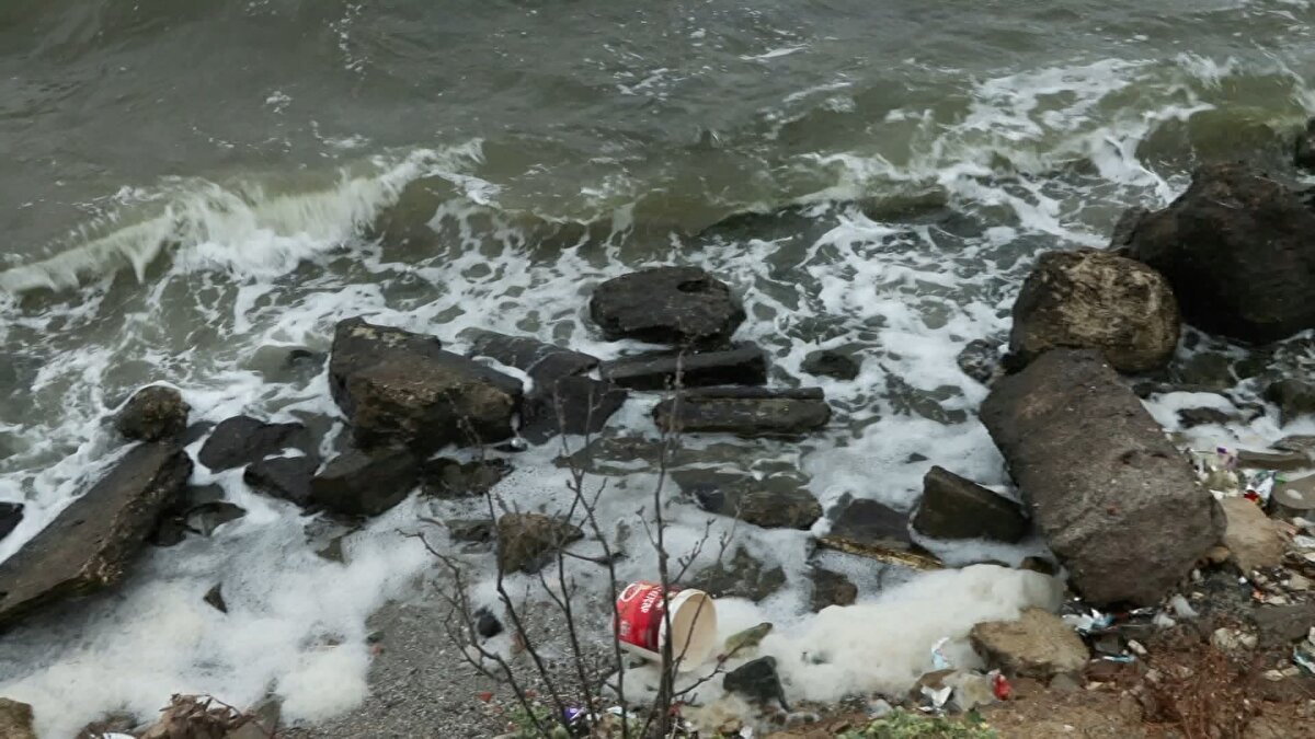 İstanbul Üniversitesi Su Bilimleri Fakültesi olarak 1990’lı yılların başından itibaren Küçükçekmece Gölü’nde çalışmaların sürdüğünü hatırlatan Albay, “Oradaki su kalitesindeki değişimi, bio çeşitliliği anlamaya çalışıyoruz. Çünkü çok kirletilen, çok örselenen bir yer. 1930'lu yıllarda orada sadece 300-400 insan yaşarken, şu anda orada 2 milyon insandan bahsediyoruz. Çok fazla baskı altına alınmış, çok fazla kirletilmiş bir alan. Sıkıntı şurada, şehrin içinde bir alan. Yani şehrin içinde olduğu için insan sağlığı, halk sağlığı bakımından sıkıntı yaratabilecek bir alan. Şu anda yaptığımız tespitlere göre maalesef, bunu üzülerek söylüyorum. Petrol kirliliği var, ağır metal kirliliği var, azot-fosfor kirliliği var. Yani yok yok, bütün kirlilik var. Çünkü orayı yıllarca atık deposu olarak kullanmışız.” diye konuştu.<br><br>