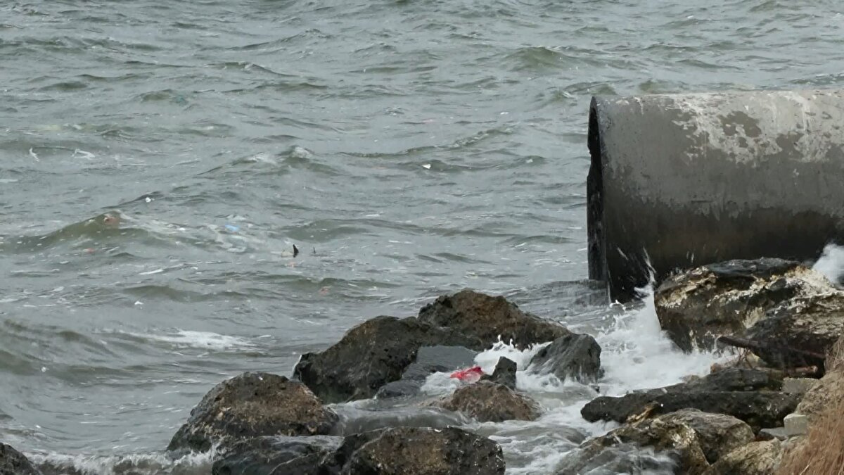 Proje kapsamında lagünün mikrobiyal komite çeşitliliğini araştıran ve analiz eden Albay, Küçükçekmece Lagünü’nün acilen restore edilmesi gerektiğini açıkladı.<br><br>