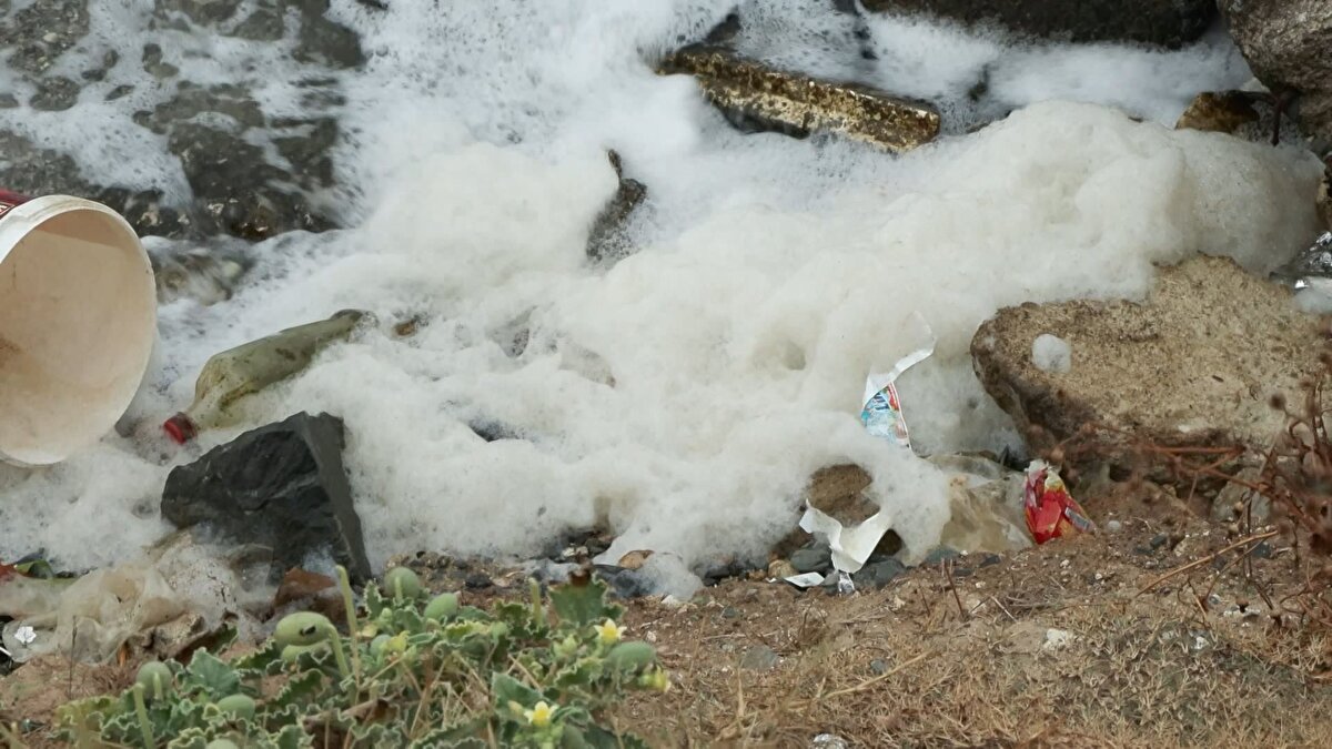 Gölün restorasyon çalışmalarının bir an önce başlaması gerektiğini ifade eden Prof. Dr. Meriç Albay, şöyle devam etti:<br><br>“Neden bunu çalışıyoruz, çünkü şehrin ortasında böyle bir alanınız varsa orayı doğru kullanmalısınız. Burası lagünel bir alan, tuzluluk seviyesi az. İnsanların orada aslında su sporları yapması lazım, yüzmesi lazım, balıkçılık faaliyetine girmesi lazım. Bunların neredeyse hiçbirini yapamıyoruz. Tıpkı Marmara Denizi'nin büyük bir kısmında yapamadığımız gibi. Yaptığımız çalışmalarda şuan da 3'üncü sınıf su kalitesinde ve ciddi bir şekilde kirletilmiş bir alan. Bizim için şu anda oradaki sonuçlar biraz endişe verici gerçekten. Geçmiş yıllara göre bir takım önlemler alındı, o anlamda biraz yol katedildi ama daha katedilmesi gereken, noktasal olmayan bir sürü kirleticiler hala oraya girmeye devam ediyor.”