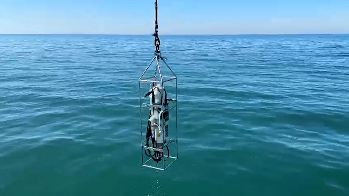 “Maalesef ortada endişelenmemiz gereken ciddi bir durum var. Biz çalışmalarımızda 10 yıllık periyotlarda değerlendiriyoruz. 10’ar yıllık periyotlara baktığımız zaman, Karadeniz’in ortalama deniz suyu sıcaklığı 15,6 santigrat derecelerden 16,3 santigrat derecelere çıktığını görüyoruz.” Diyen Ağırbaş, şöyle devam etti:<br><br>“Aylık ölçekte değerlendirme yaptığımızda ise temmuz ayı ortalaması son 10 yıllık dönemde 22,5- 23 santigrat derecelerinde iken şu an 24- 25 santigrat derecelerin üzerinde seyretmekte. Ağustos ayına baktığımızda bu ayda yine ortalamanın üzerinde devam edecek gibi gözüküyor. Atmosferik sıcaklıklar deniz suyu sıcaklığına hemen yansımasa bile zamanla paralel bir seyir göstererek deniz suyunun ısınmasına da neden oluyor.”<br><br>