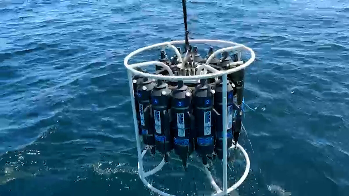 Ağırbaş şöyle devam etti:<br><br>“Değişen ekosistem koşullarına uyum sağlayan canlılar yaşamalarını sürdürürken, uyum sağlayamayan canlı grupları ise kendileri için daha iyi ortamları tercih ederek göç ediyorlar. Artan deniz suyu sıcaklıkları canların göç etmesine neden oluyor. Aynı zamanda ticari olarak avlanan balık miktarı da direkt olarak bu durumdan olumsuz etkileniyor.”