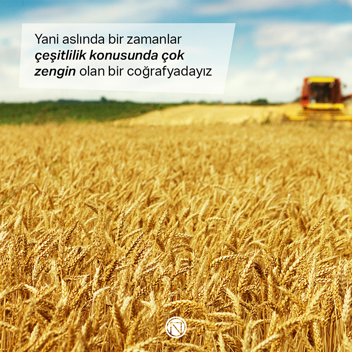 Yani aslında bir zamanlar çeşitlilik konusunda çok zengin olan bir coğrafyadayız  