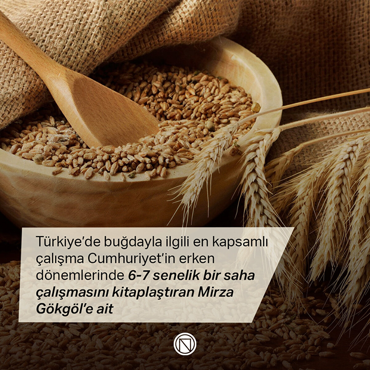 Türkiye’de buğdayla ilgili en kapsamlı çalışma Cumhuriyet’in erken dönemlerinde 6-7 senelik bir saha çalışmasını kitaplaştıran Mirza Gökgöl’e ait