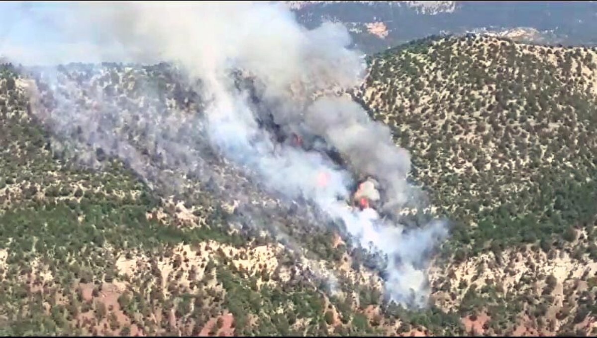 Valilikten yapılan açıklamada, ilk belirlemelere göre yangının, elektrik hattından kaynaklandığı değerlendirilen nedenle çıktığı belirtildi.<br><br>