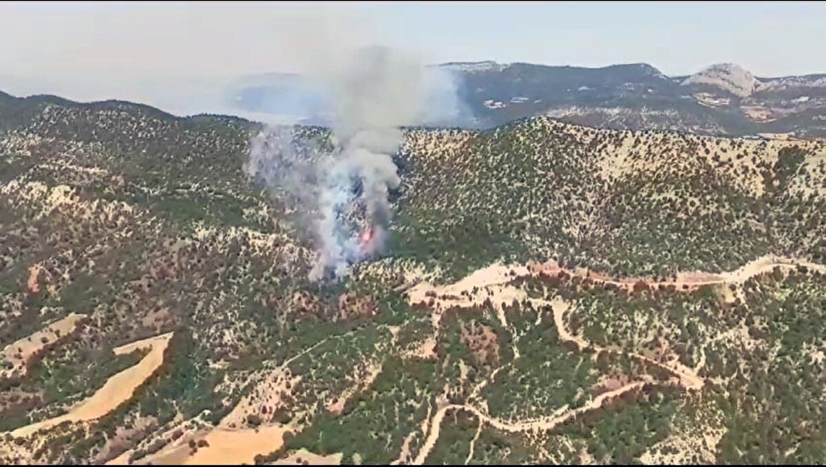 Durumun bildirilmesi üzerine bölgeye, Bolu Orman Bölge Müdürlüğü ekipleri sevk edildi.<br><br>