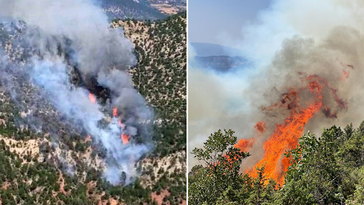 Bolu’nun Göynük ilçesine bağlı Güneyçalıca köyü mevkisinde ormanlık alanda yangın çıktı.<br><br>