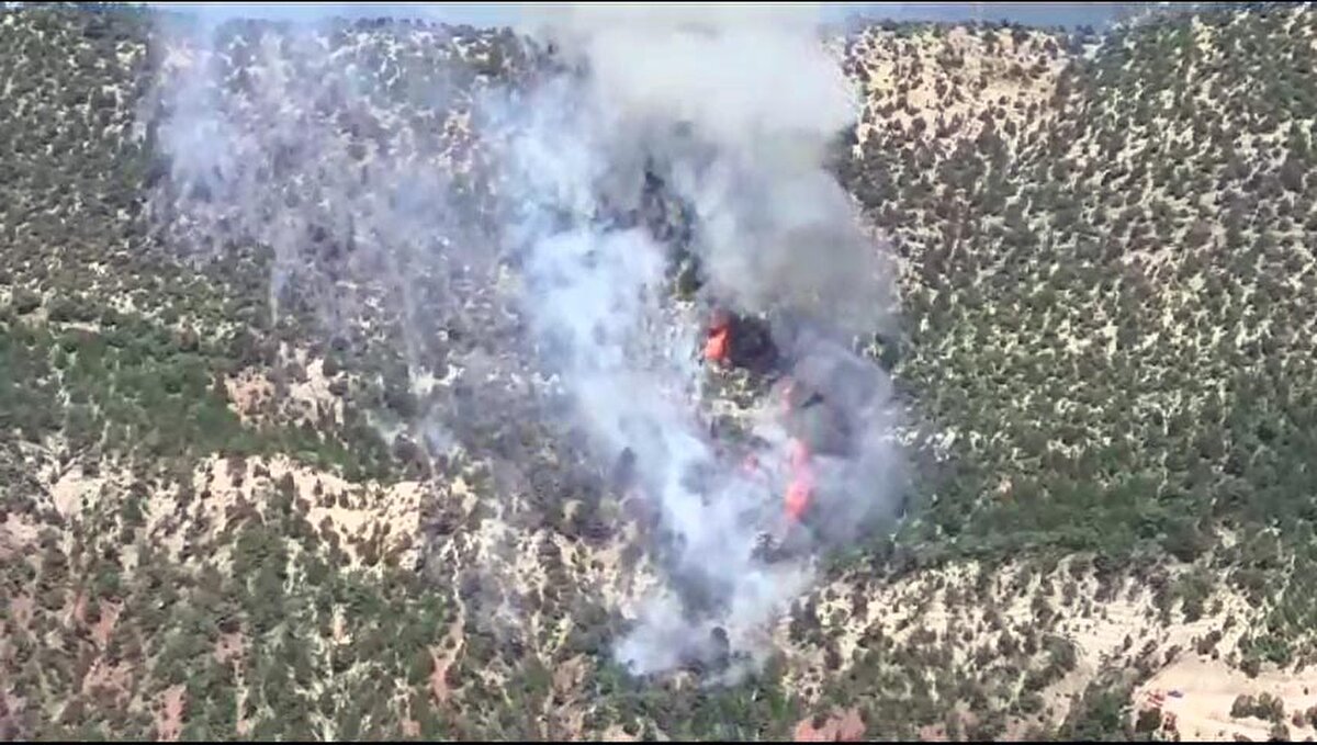 Rüzgarın da etkisiyle büyüyen yangının söndürülmesi için çalışma başlatıldı.<br><br>Yangına, 3 yangın helikopteri, söndürme uçağı, iş makinesi, 4 ilk müdahale aracı, 10 su tankeri, jandarma aracı, 4 jandarma personeli, 60 orman personeli ve 20 köy sakini olmak üzere toplam 20 araç ve 84 kişiyle müdahale ediliyor.