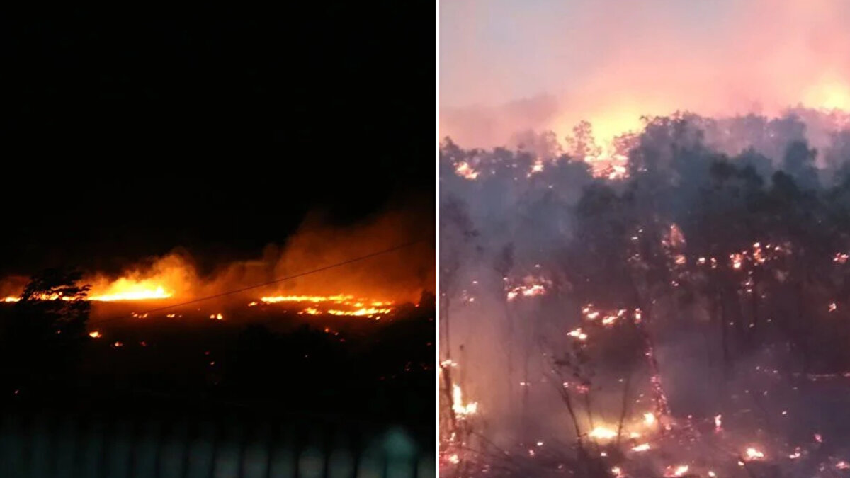 Bingöl'ün Genç ilçesi Servi köyü kırsalındaki ormanlık alanda henüz belirlenemeyen nedenle yangın çıktı.<br>