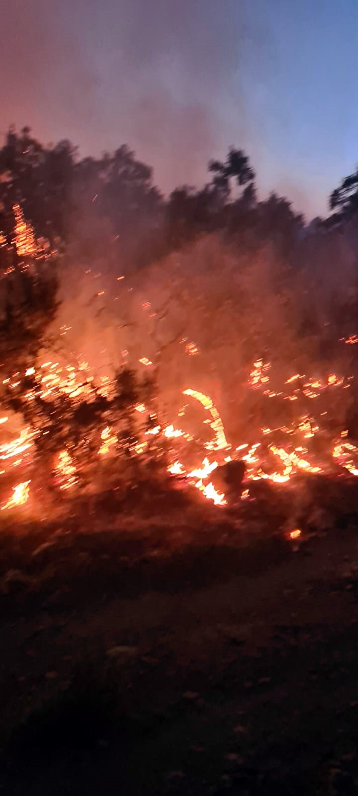 Rüzgarın da etkisiyle yangın büyürken Diyarbakır, Batman ve Şırnak illerinden yangının söndürülmesi için destek istendi.