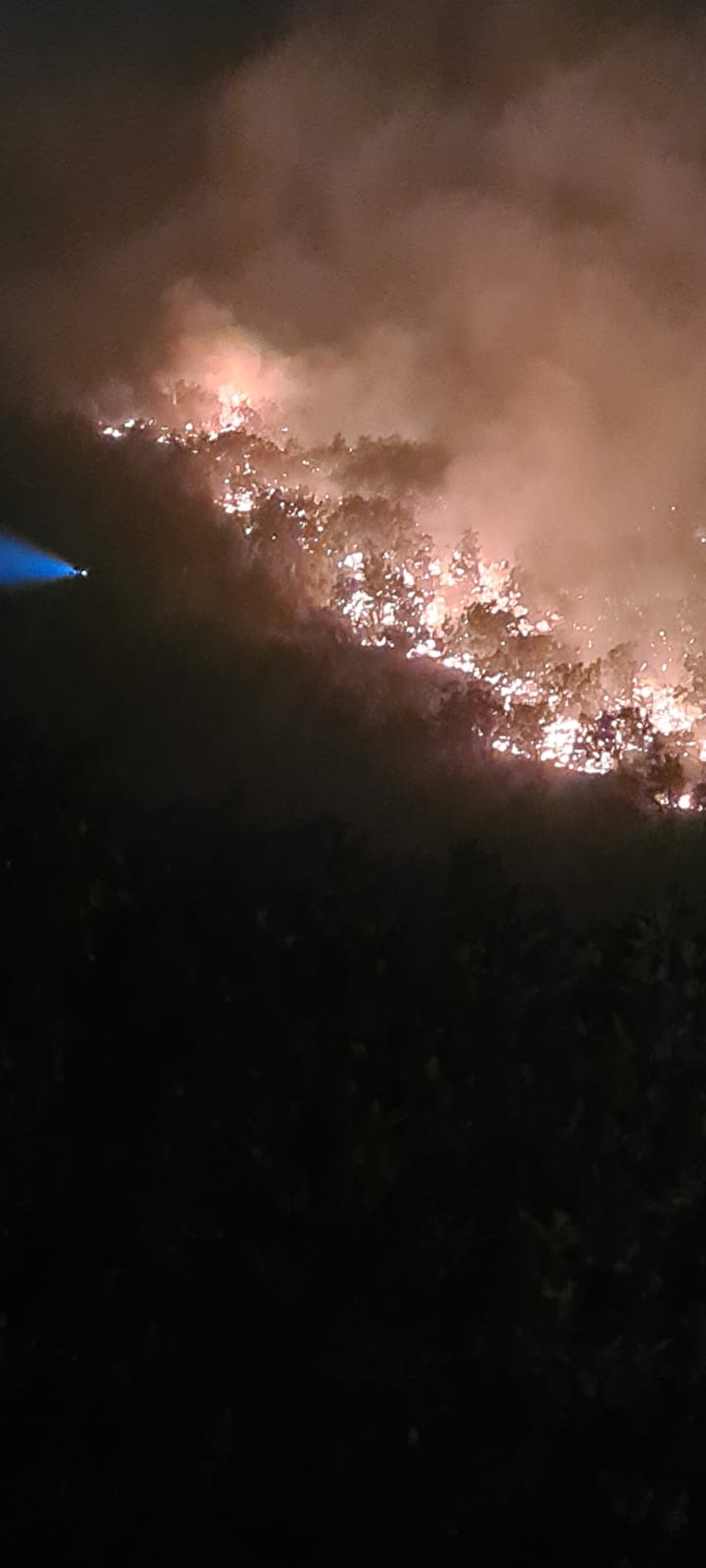 Adıyaman Deprem Bölgesi Genel Koordinatörü olarak olarak görev yapan AFAD Siirt İl Müdürü Cahit Akkoyun, yangının büyümesi üzerine AFAD Kriz Merkezi ile görüşerek Ankara Hava Destekli Yangın Denetim Merkezinden ve Şanlıurfa Yangın Harekat Şube Merkezinden yardım istediklerini belirtti.<br><br>