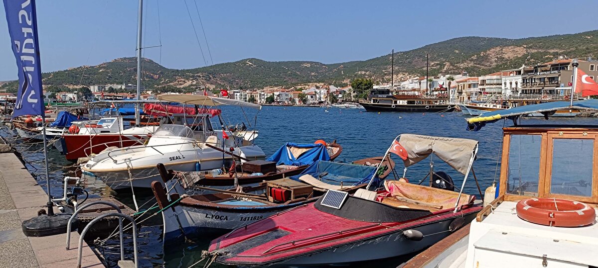 Bölgede 45 yıldır balıkçılık yaptığını söyleyen vatandaşlardan Kaya Çakmak, bu yıla kadar ilçe sahillerinde denizanası görülse de hiç bu kadar yoğun olduğunu görmediklerini dile getirip, balık tutmakta güçlük çektiklerini söyledi.<br><br>