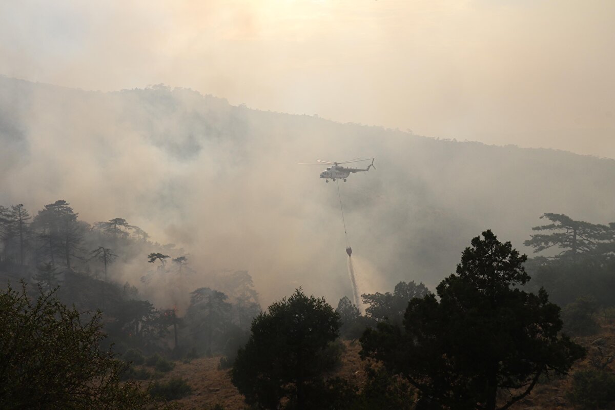 Bingöl'ün Genç ilçesinde çıkan orman yangını, havadan ve karadan müdahaleyle kontrol altına alınmaya çalışılıyor.<br><br>Servi köyü kırsalındaki ormanlık alanda dün henüz belirlenemeyen nedenle çıkan yangın rüzgarın etkisiyle büyüdü.<br><br>
