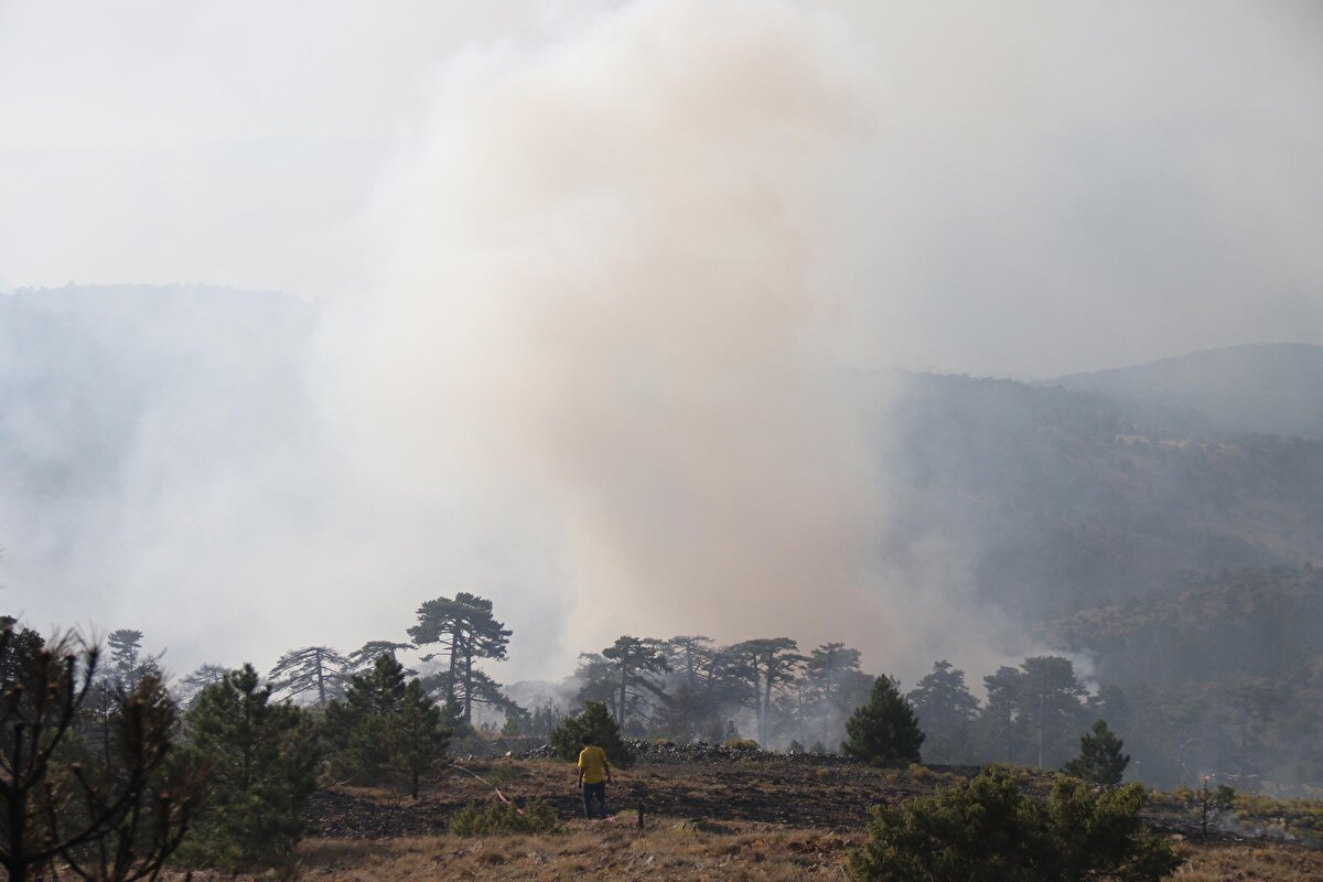 Yangına, havadan ve karadan müdahale edildi. Valilikten yapılan açıklamada, Bolu Valisi Erkan Kılıç'ın yangın alanında incelemelerde bulunduğu bildirildi.<br><br>