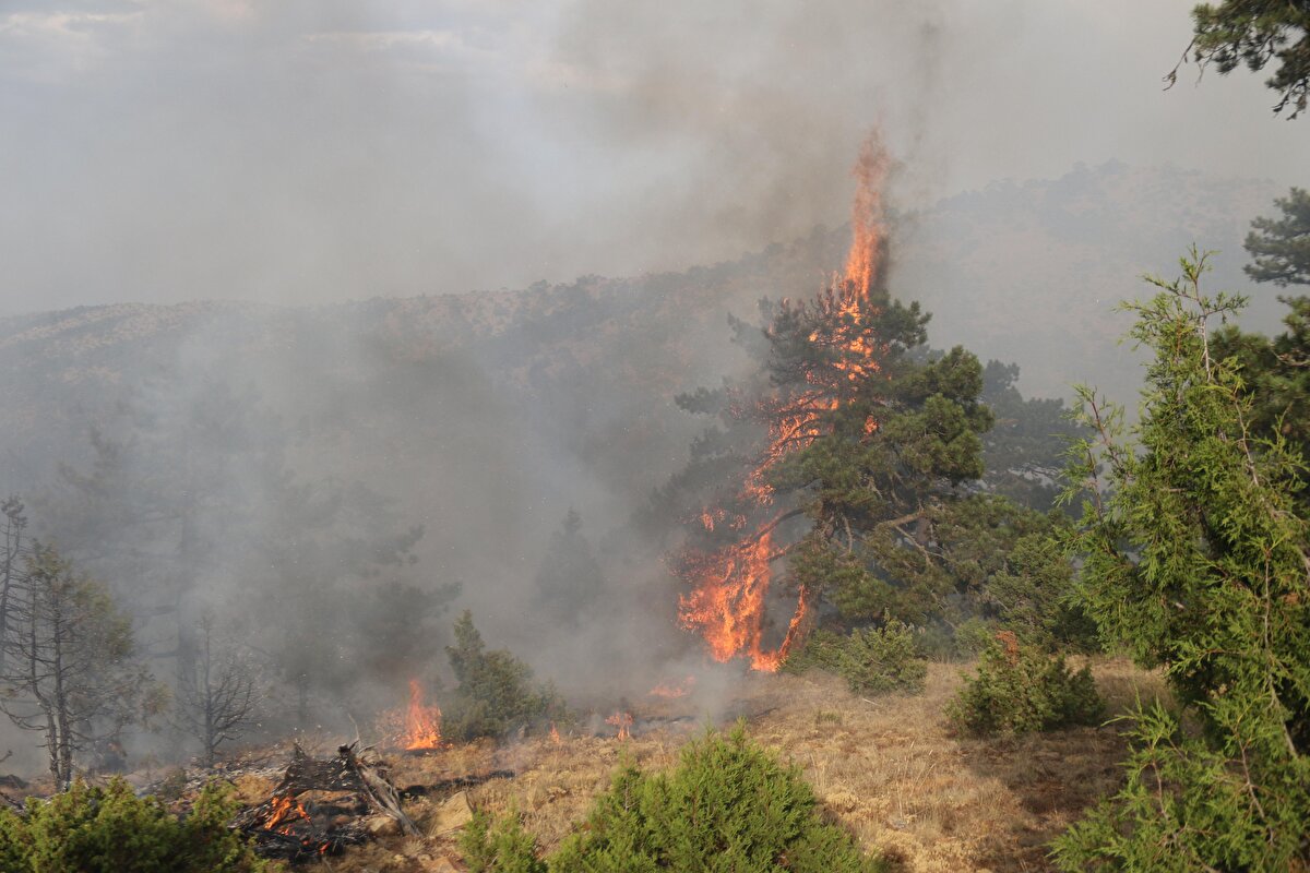 Alevlere sabah saatlerine kadar gece görüşlü helikopterlerin yanı sıra karadan da müdahale edildi.<br><br>