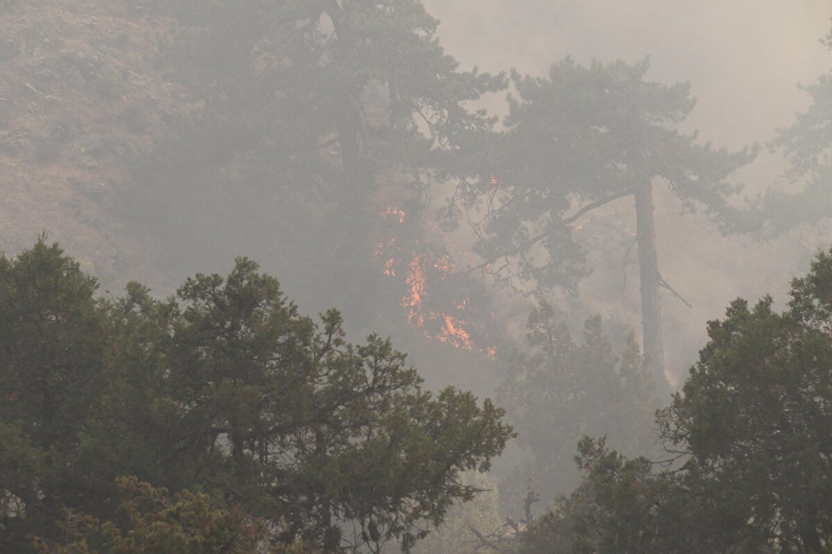 İlk belirlemelere göre yangının, elektrik hattından kaynaklandığı değerlendirilen nedenle çıktığının kaydedildiği açıklamada, valilik koordinesinde, 2 yangın helikopteri, 1 yangın uçağı, 10 arazöz, 10 su tankeri, 5 İlk müdahale aracı, 2 dozer, 6 hizmet aracı, 4 jandarma personeli, 110 orman personeli, 20 vatandaş ile hem havadan hem de karadan müdahale edildiği belirtildi. Yangın söndürme çalışmalarının hassasiyetle ve titizlikle takip edildiği bildirildi.<br><br>