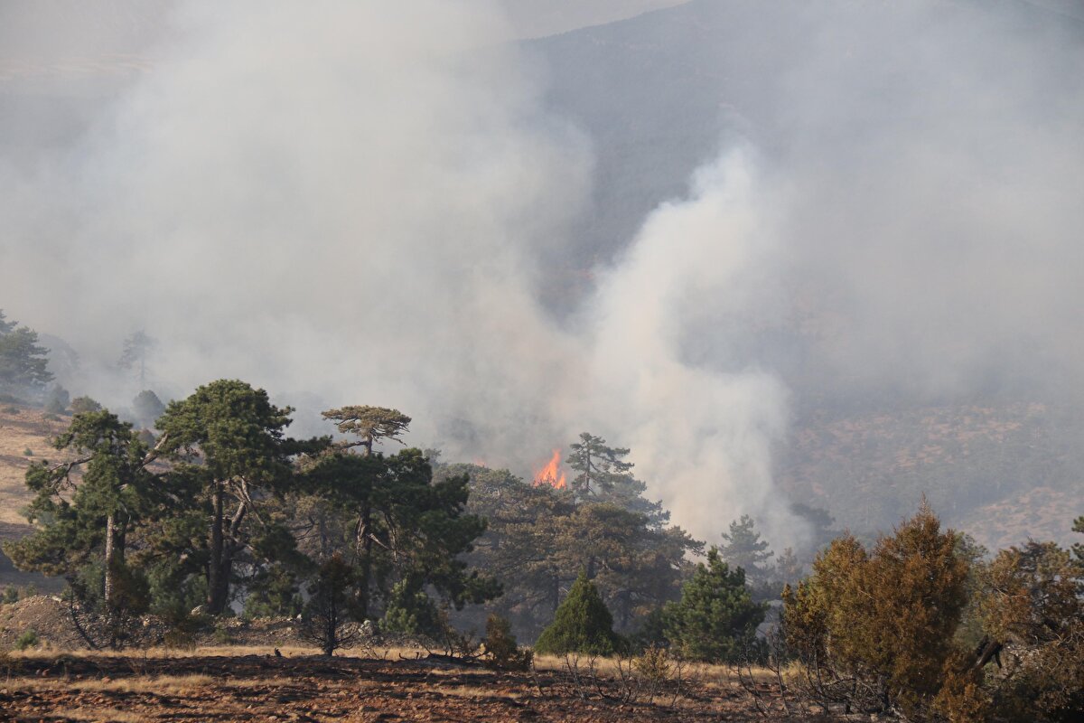 Sabahın ilk saatlerinden itibaren ise 5 helikopter ve 2 uçak da müdahale etmeye başladı.<br><br>