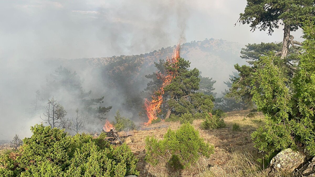 Karadan da çok sayıda arazöz, iş makinesi, itfaiye araçları ve orman işçileriyle alevlere müdahale sürüyor.<br><br>