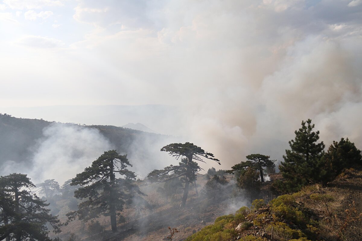 Eskişehir Orman Bölge Müdürü İsmail Çetin de söndürme çalışmalarını takip etti.<br><br>Bölgede soğutma çalışmaları sürüyor.<br><br>Ankara'nın Çubuk, Denizli'nin Acıpayam ilçeleri ile Afyonkarahisar'a bağlı Çatkuyu ile Olucak köyleri arasındaki orman yangınları da kontrol altına alınmıştı.<br><br>