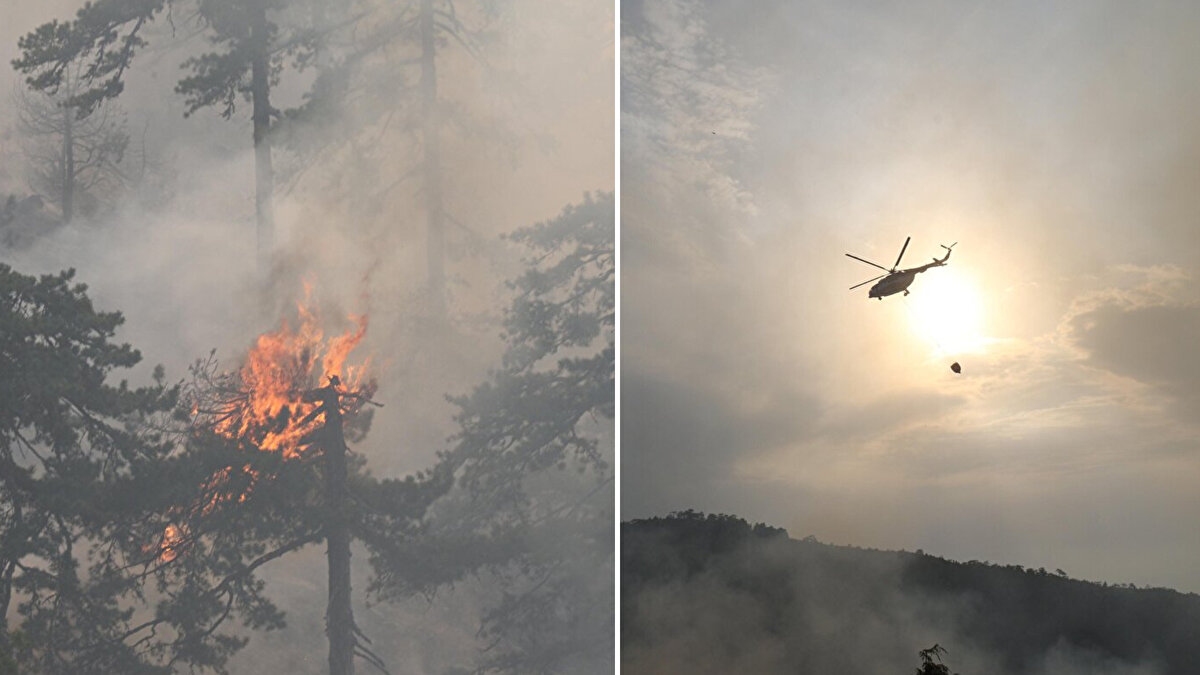 Antalya'nın Akseki ilçesindeki orman yangınında söndürme çalışmaları sabahın ilk ışıklarıyla havalanan helikopter ve uçaklarla devam ediyor.<br>