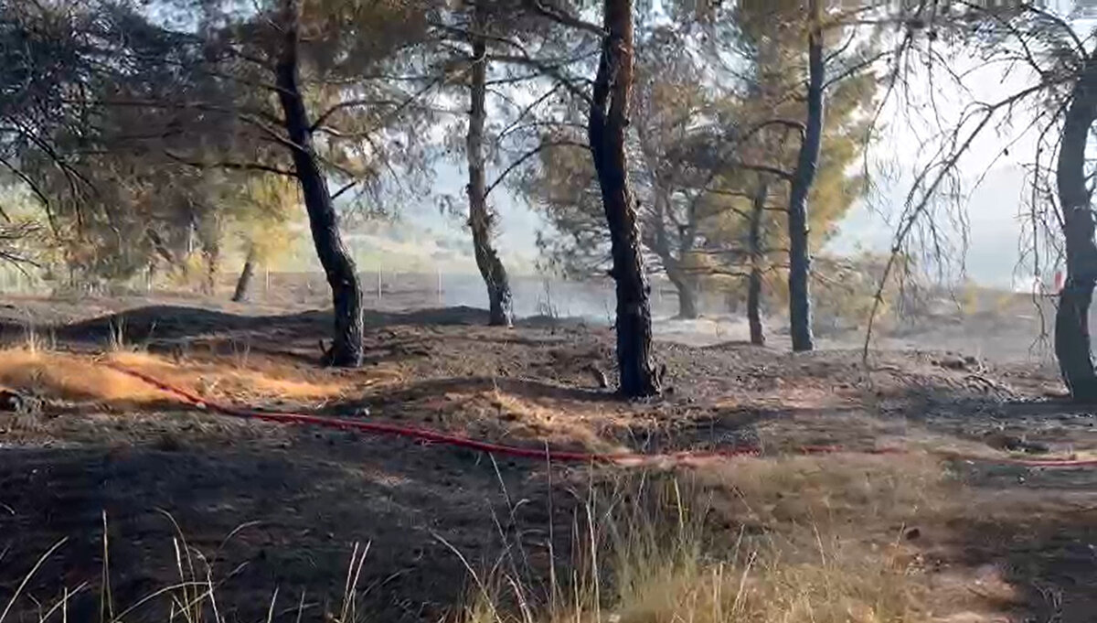  Ekiplerin havadan ve karadan müdahalesiyle yangın, 3 saatin ardından kontrol altına alındı. 