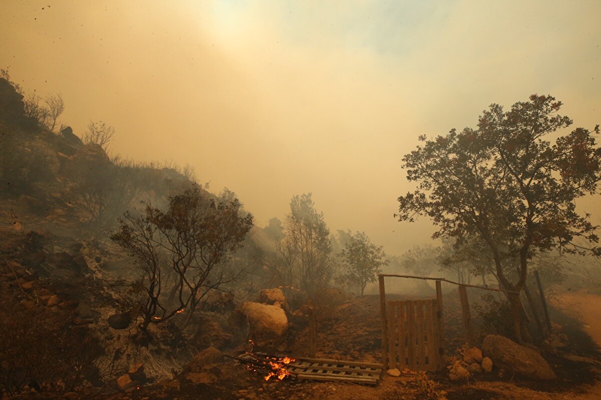 Vali Aktaş, civar köylerde şu anda tehlike görülmediğini ancak rüzgarın etkili olduğunu dile getirdi.<br><br>