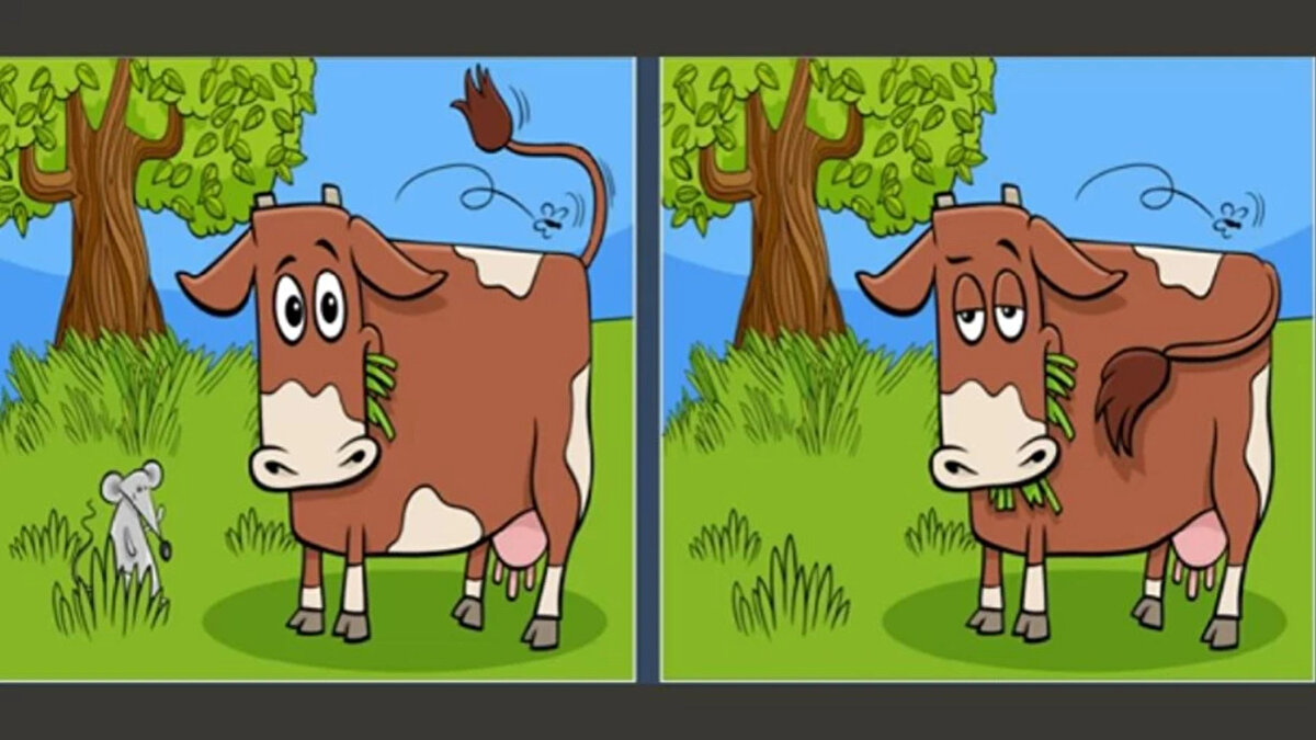 İşte kafanızı karıştıracak yeni bir testle karşınızdayız. Çayırda otlayan ineği gösteren bu iki görsel arasında 5 fark var. Bulmak için ise 18 saniyeniz var. <br><br>
