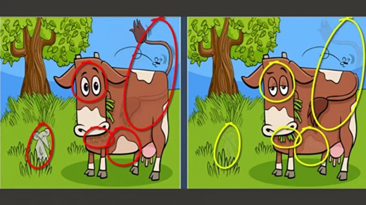 İşte 18 saniyede sonuca ulaşamayanlar için yanıt:<br>