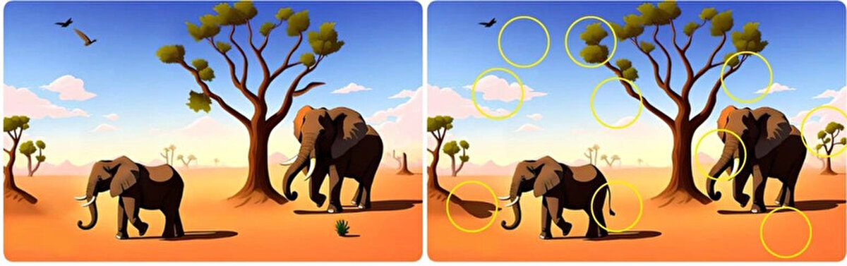 17 saniyede sonuca ulaşamayanlar için yanıt:<br>