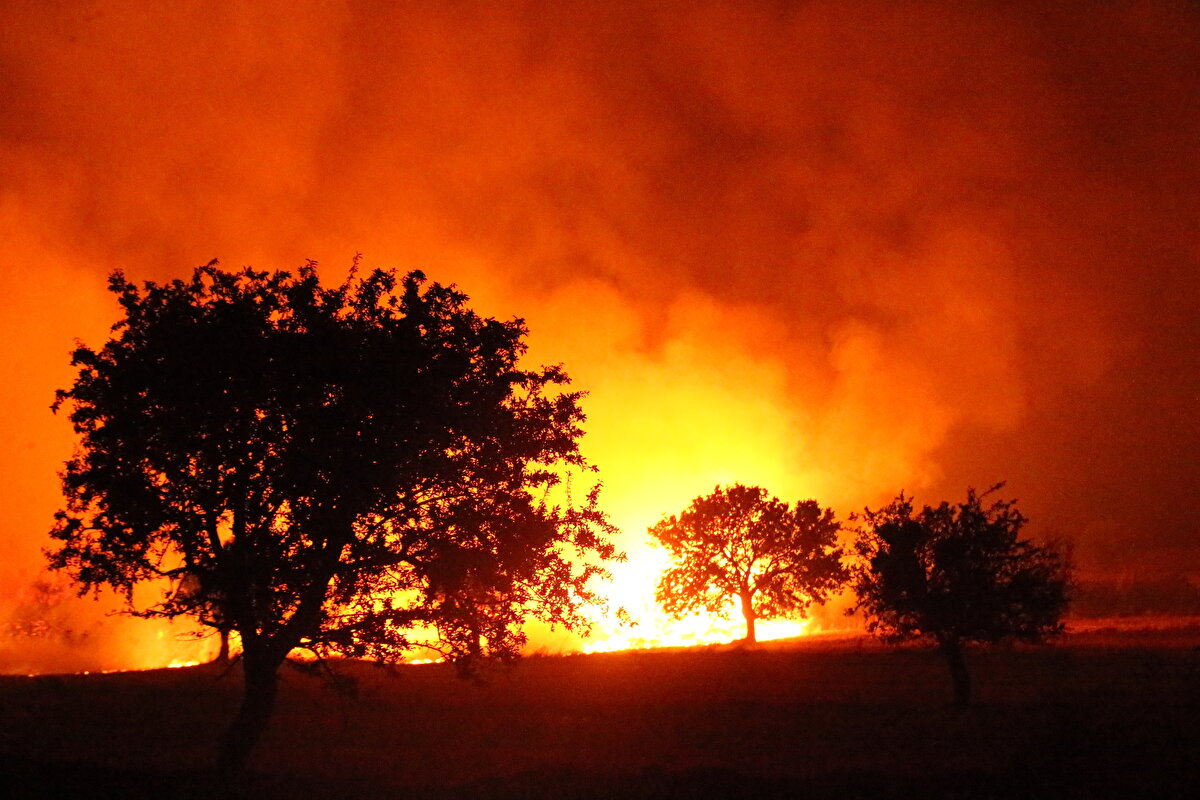 Nedeni henüz belirlenemeyen yangına karanan ve havadan müdahale başlatıldı. <br><br>