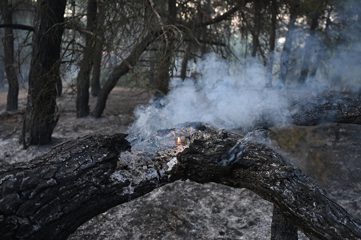 "7 EV HASAR GÖRDÜ"<br>Tahliye edilen köylerden Ulupınar'da 3, Yağcılar'da da 4 evin hasar gördüğünü belirten Yumaklı, sözlerini şöyle sürdürdü;<br><br>"Tedbiren 9 köyde bazı önlemler alınmış ve 6 köy boşaltılmıştı. Akşam saatlerinde diğer 3 köy de boşaltıldı. Kayadere, Damyeri, Belen, Ulupınar, Yağcılar ve Kalabaklı. Bu köylerden Ulupınar'da 3, Yağcılar'da da 4 ev şu ana kadar tespit edildiği şekliyle yangından hasar görmüş durumda. İhtimalen boşaltılmak üzere tedbir alınmış diğer 3 köy de yine akşam saatlerinde herhangi bir risk oluşmaması için boşaltıldı. Bu köyler de Aşağıokçular, Taşlıtarla ve Kızılcaören. Ayrıca havalimanına yakın Sarıcaeli köyü var. Bu köyle ilgili de değerlendirme yapılıyor. Gereken uyarılar yapıldı köy sakinlerine ancak köyün boşaltılmasıyla ilgili şu anda herhangi bir önlem alınmadı. Sarıcaeli köyüne yakın bir yaşlı bakımevi vardı. Burada 41 yaşlımız, Kredi Yurtlar Kurumunun yurtlarına yerleştirildi. Yine ayrıca bu bahsetmiş olduğum 9 köyden de 29 vatandaşımız Kredi Yurtlar Kurumunun yurtlarına yerleştirilmiş oldu. Talep edenler olursa diye yine Kredi Yurtlar Kurumunda ve diğer alanlarda yer ayrılmış vaziyette."