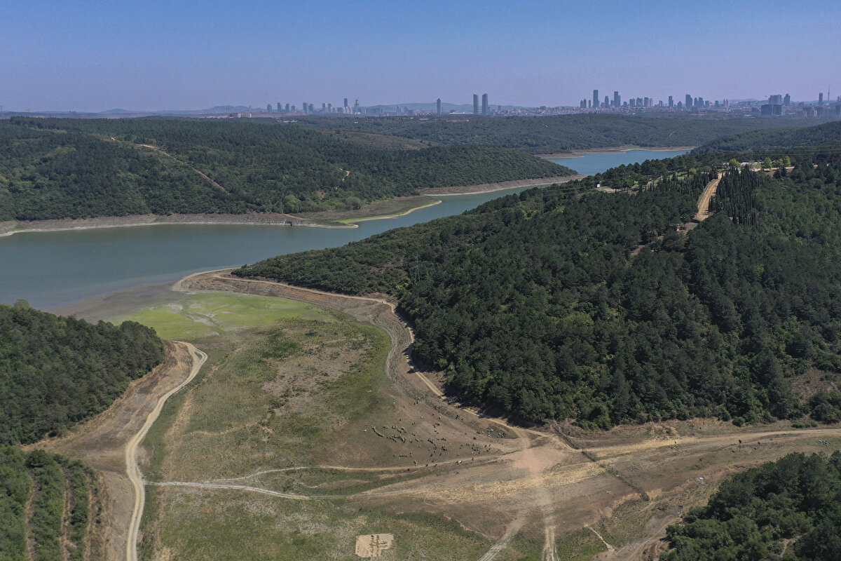 Son 10 yılın doluluk oranları<br><br>İSKİ istatistiklerine göre, 23 Ağustos tarihli baraj doluluk oranları 2013'te yüzde 61,9, 2014'te yüzde 16,93, 2015'te yüzde 71,24, 2016'da yüzde 54,57, 2017'de yüzde 64,7, 2018'de yüzde 64,96, 2019'da yüzde 61,59, 2020'de yüzde 49,99, 2021'de yüzde 60,28, 2022'de yüzde 59,94 olarak kaydedildi.<br>