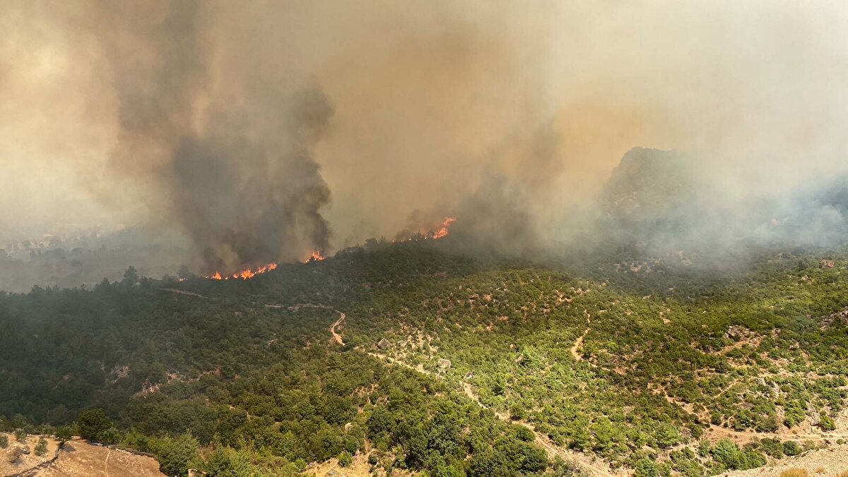 Dün havanın kararmasıyla birlikte gece görüş sistemine sahip helikopterler dışındaki hava araçlarıyla müdahale sonlandırıldı.