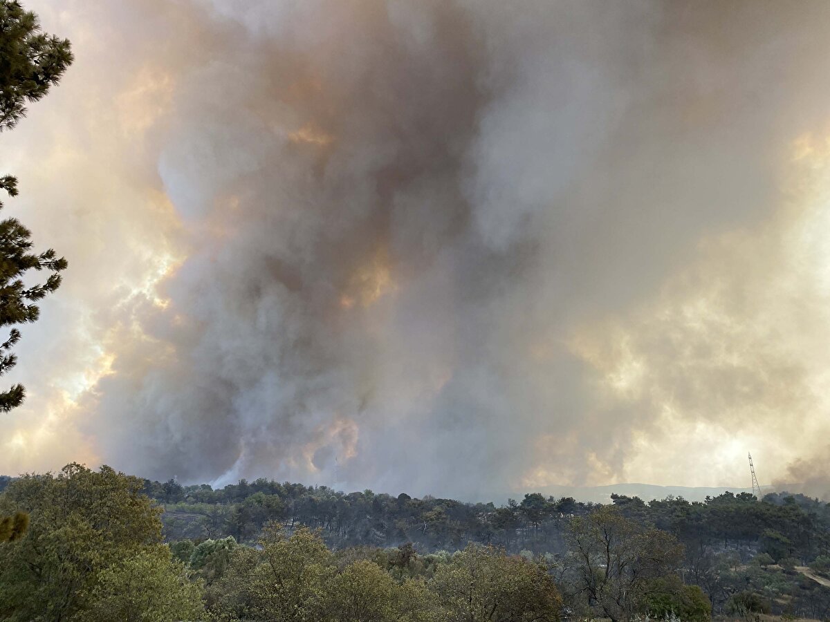Geniş bir alanda etkili olan yangın için bölgeye takviye ekipler sevk edildi.