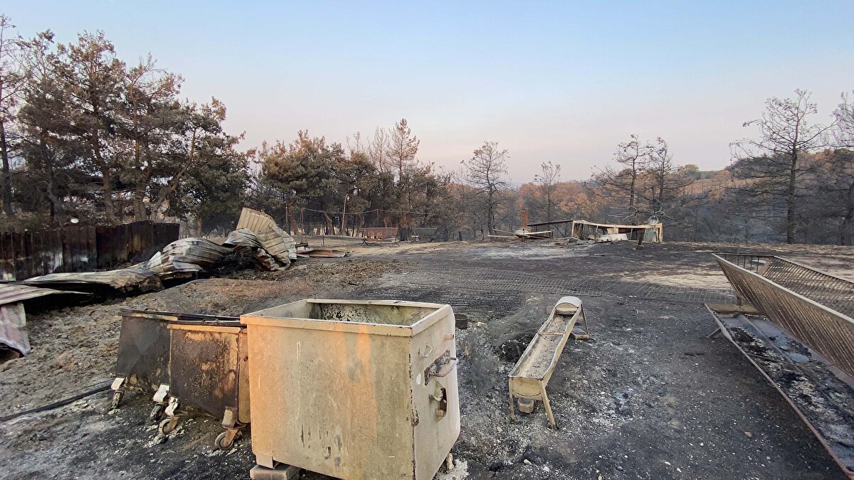 Kıyı Emniyeti Genel Müdürlüğü'nden yapılan açıklamada. "Çanakkale'deki orman yangını nedeniyle havadan müdahale araçlarının denizden su alabilmesini teminen Çanakkale Boğazı gemi trafiği, gece saat 03.00'ten itibaren geçici olarak çift yönlü askıya alındı" ifadelerine yer verildi.