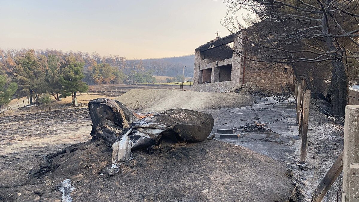 Ancak alevlerin bu köyler için risk oluşturmağı açıklandı. Ayrıca yangın bölgesinde 5 trafo, 3 köy ve 265 abonede enerji kesintisinin devam ettiği belirtildi. Yangında 95 kişi dumandan etkilenirken, 8 vatandaşın tedavisinin sürdüğü açıklandı.