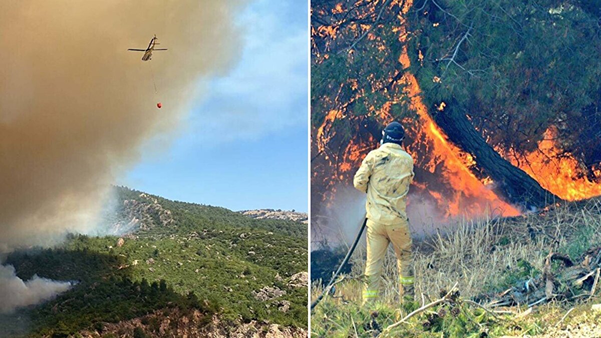 Merkeze bağlı Damyeri köyü yakınlarında önceki gün saat 11.30 sıralarında henüz belirlenemeyen nedenle orman yangını çıktı.