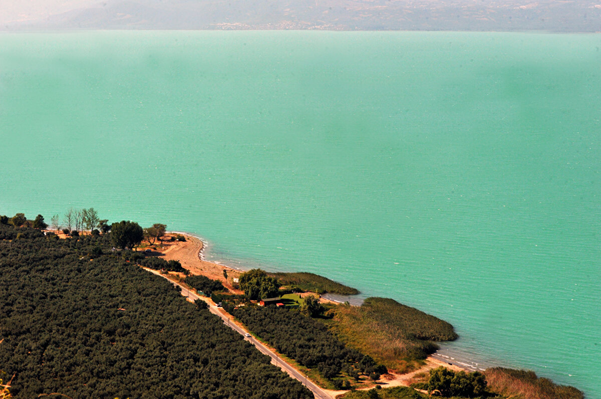 Mavi-yeşil algler olarak bilinen siyanobakteri tabakası, göl yüzeyini kapladı.