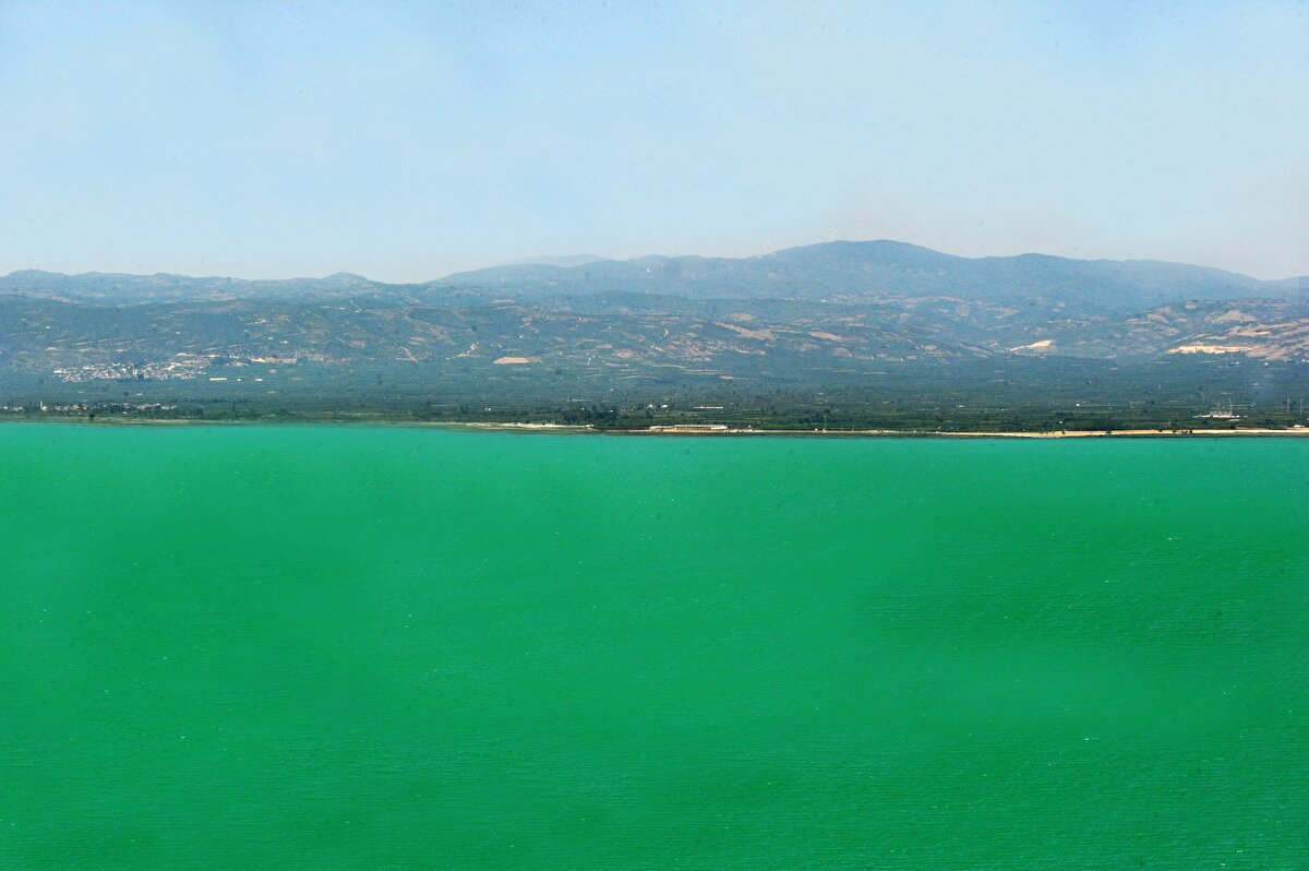 Sıcaklığa bağlı su seviyesinin azalması, tarım arazilerindeki kontrolsüz gübre kullanımı ve atıklara bağlı fosfor ve azot oranının artması sonucu göl dibindeki alg tabakası, su yüzeyine çıktı. Fotosentez ile beslenen siyanobakterinin göl dibinde yeterli oksijen olmaması nedeniyle yüzeye çıktığını belirten BUÜ Mühendislik Fakültesi Çevre Mühendisliği Bölümü Öğretim Üyesi Prof. Dr. Taner Yonar, bu durumun göldeki diğer canlılar için de risk oluşturduğunu söyledi.