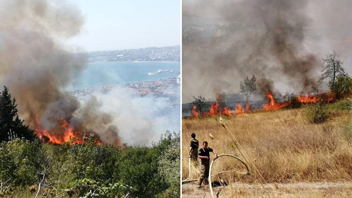 İstanbul'un Büyükçekmece ilçesi Cumhuriyet Mahallesi'ndeki ormanlık alanda henüz belirlenemeyen nedenle yangın çıktı.<br><br>