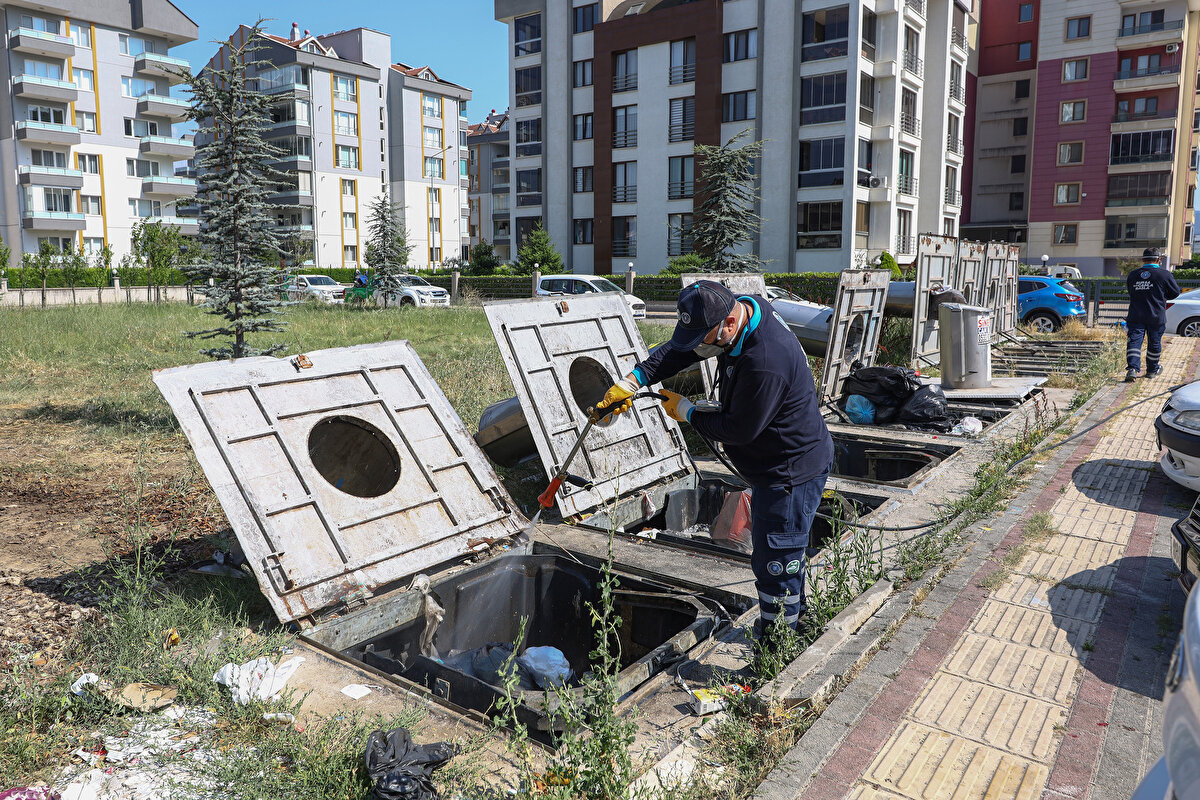 Sinek ısırıklarına karşı alınabilecek önlemleri de hatırlatan Prof. Dr. Aydın, şunları söyledi: "Bireysel korunma esastır. Uzun kollu ve açık renkli giymek ya da bulunduğunuz ortamlarda, bir odayı ilaçlamadan önce sinek telleri önemlidir. Kırım-Kongo'da da benzeri bir şey oldu. 'Paçalarınızı çoraplarınızın içine sokun' deyince, 'Bu mudur?' dediler. Evet, çözüm buydu. Uzun kollu giyinin, sık sık kendinizi arayın. Bireysel korunmadır. Çünkü avcı bir keneydi, yerden geliyordu. Basit görünen ama bireysel korunma önlemleri önemlidir. Sarı renk, genelde tüm böceklerde cazibe rengidir. Mesela evinizin dış cephesini sarıya boyamayın. Sinek gelmeyecek mi, gelecek. Daha az gelir. Ya da koruyucu önlemler alın. Bahçenizin bir bölümüne lavanta dikin. Çünkü çok iyi, güzel bir repellenttir, kovucudur. Ama bu sıfırlar mı? Sinek ve keneyi sıfırlayamazsınız. Minimuma indirme yollarına bakarsınız."<br>