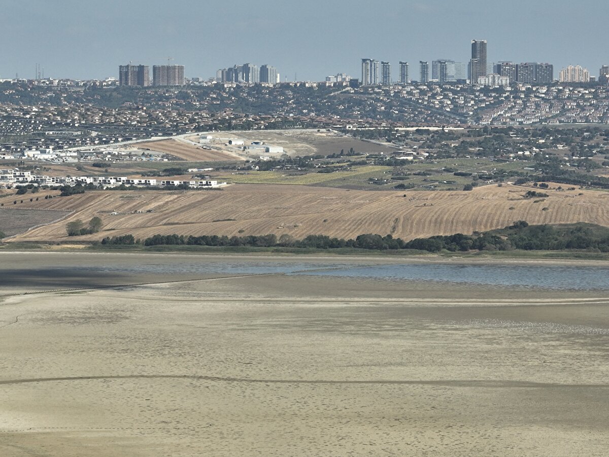 Bu veri, son 9 yılın aynı dönemine göre en düşük oran olarak kayıtlara geçti.<br>