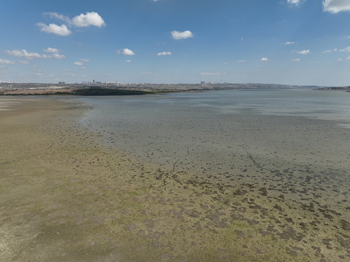 Özdemir, İstanbul'un barajlarının artık alarm verdiğini vurgulayarak, "Barajlardaki su seviyesi artık tehlike sınırını geçti. Su kesintileri kapıda. İki aydan az suyumuz kaldı. İstanbul'un nüfusu çok yüksek. Bu nüfusu bu barajlar kaldırmaz. El Nino ve iklim değişikliği, yağışların azalmasının en büyük göstergesi. Artık tedbirlerin alınması lazım. Artık yağmur suyunun biriktirilmesi şart." değerlendirmesinde bulundu.<br>
