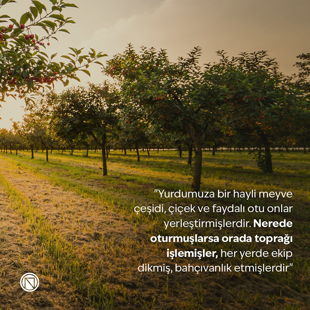 "Yurdumuza bir hayli meyve çeşidi, çiçek ve faydalı otu onlar yerleştirmişlerdir. Nerede oturmuşlarsa orada toprağı işlemişler, her yerde ekip dikmiş, bahçıvanlık etmişlerdir"