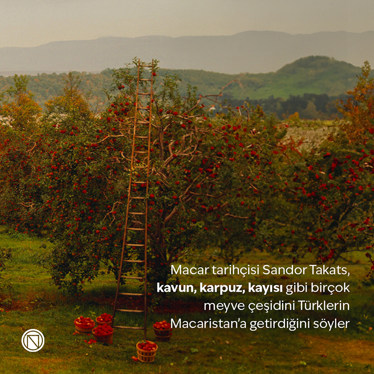 Macar tarihçisi Sandor Takats, kavun, karpuz, kayısı gibi birçok meyve çeşidini Türklerin Macaristan’a getirdiğini söyler