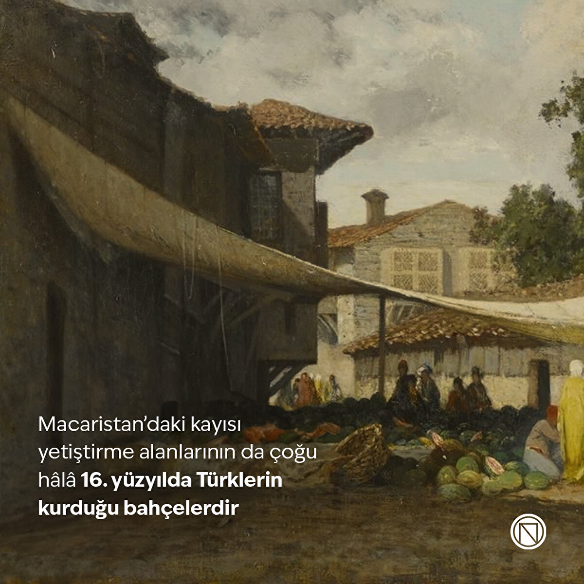 Macaristan’daki kayısı yetiştirme alanlarının da çoğu hâlâ 16. yüzyılda Türklerin kurduğu bahçelerdir